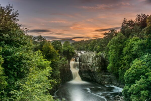 raby high force