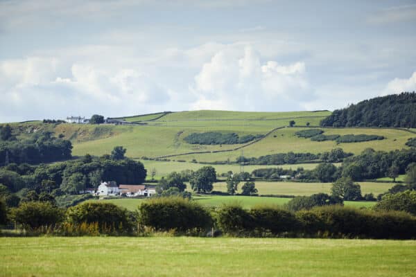 North Pennines