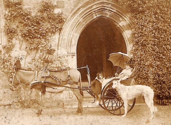 Raby Castle, Park and Gardens Pony Cart.jpg