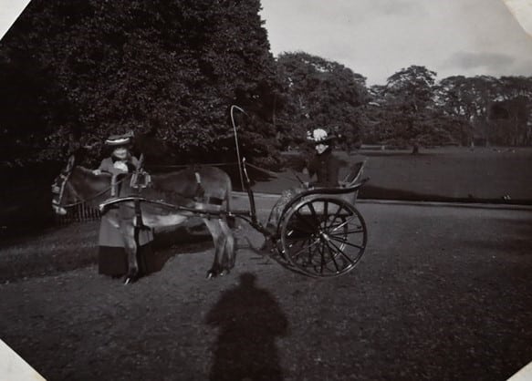 The Pony Cart a Raby Castle Park and Gardens, County Durham.jpg
